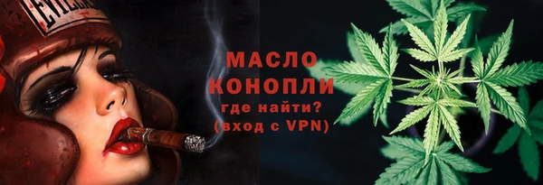 МДПВ Гусев