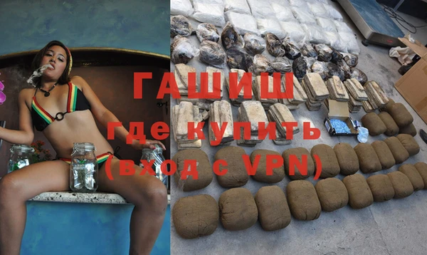 гашик Гусь-Хрустальный