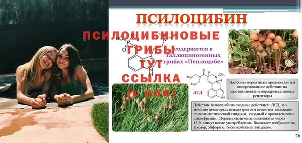 гашик Гусь-Хрустальный