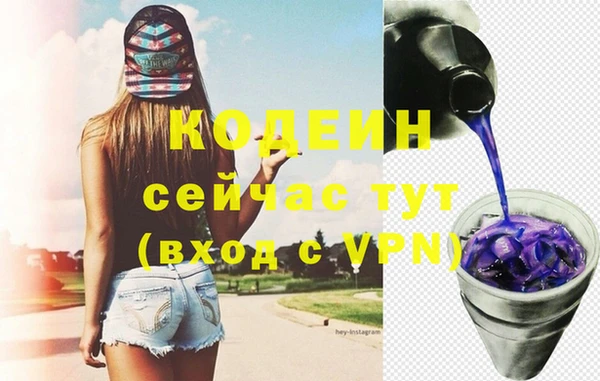 гашик Гусь-Хрустальный