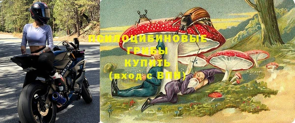 МДПВ Гусев