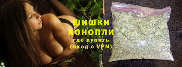 МДПВ Гусев