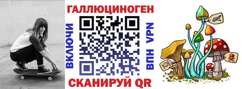 Псилоцибиновые грибы GOLDEN TEACHER  наркота  Новокузнецк 